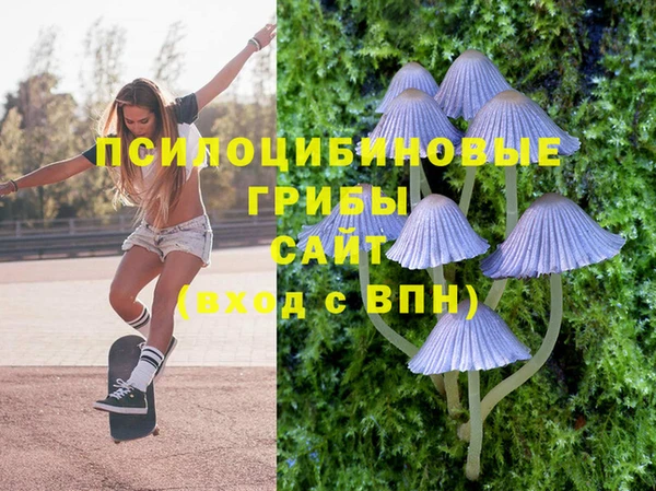 a pvp Белокуриха